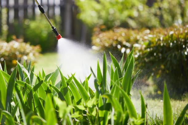 24/7 Emergency Ant Control experts in Park Rapids, MN