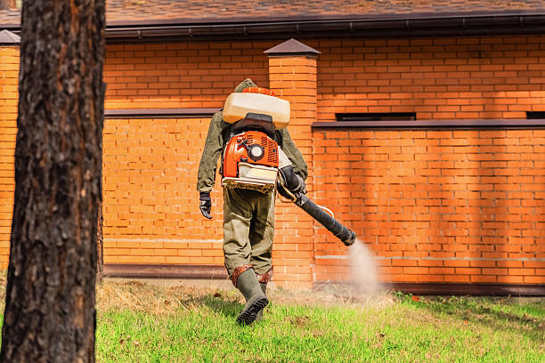 Top rated local Ant Control specialists in Park Rapids, MN